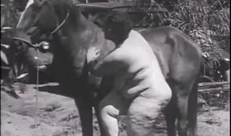 Atena miłość-sekretarza uwodzenia seks na żywo wideo