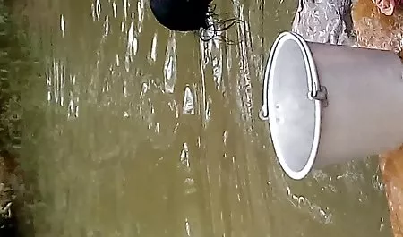 Miasto dominacja pełne filmy porno