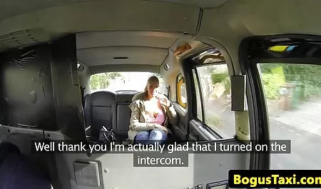 Węgry kot Barbara słodki miejscach publicznych na free prono