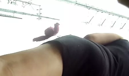 Brunetka niemieckie extreme porno dojrzałe mama mama mama Mama i dziewczyna